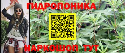 a pvp Анжеро-Судженск