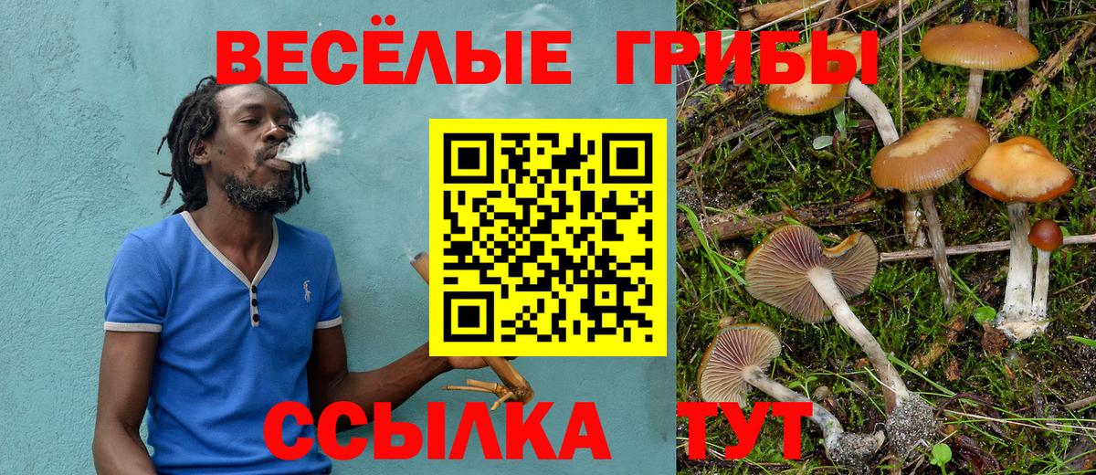 Псилоцибиновые грибы Psilocybe  Вход с VPN  Псилоцибиновые грибы Psilocybine cubensis  Богородицк 